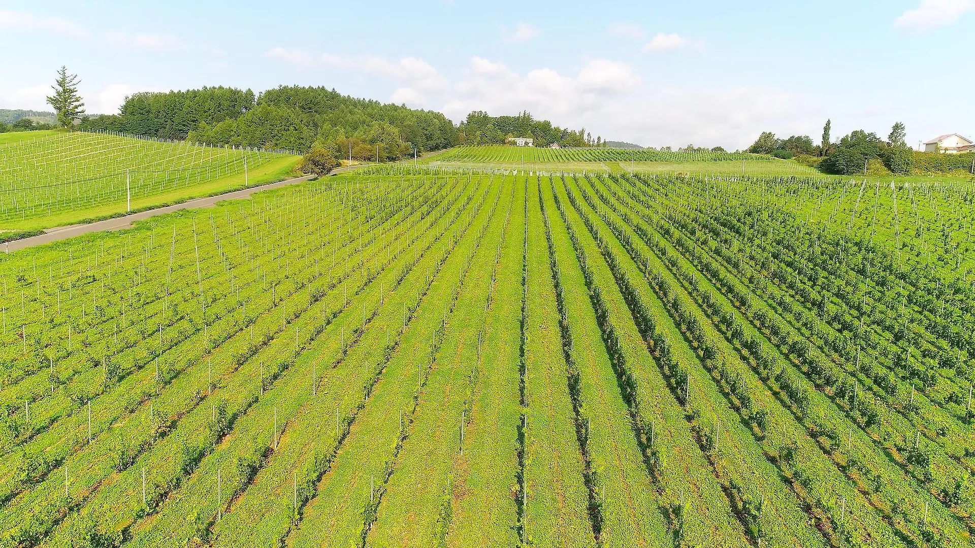 Nakafurano Winery Hotel And Condominium Hitohana 4*,